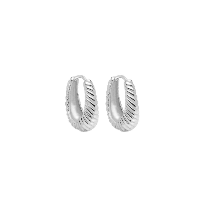 Brandy Earrings in Silver